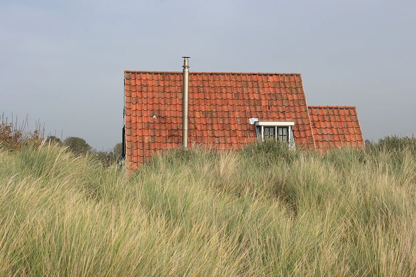 Dune house Zoutelande by MSP Canvas