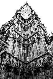 Gothic details of York Minster in black and white #2 by Charlotte Hagg