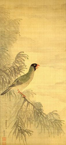 Blauwgroene parkiet, Maruyama Ōkyo