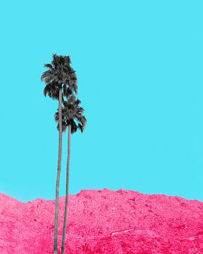 Keine grauen Tage von Tom Windeknecht