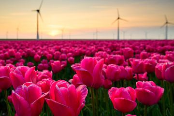 Tulpen in een veld met windturbines in de achtergrond van Sjoerd van der Wal Fotografie