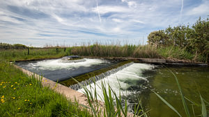De Kwal