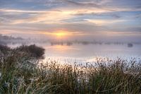 Mistige zonsopkomst boven Dwingelderveld