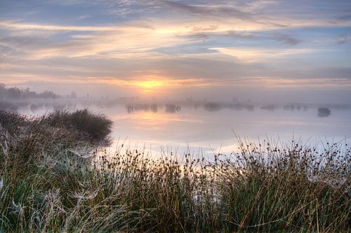 Lever de soleil brumeux au-dessus de Dwingelderveld