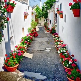 Weiße Häuser und bunte Blumen von Leopold Brix