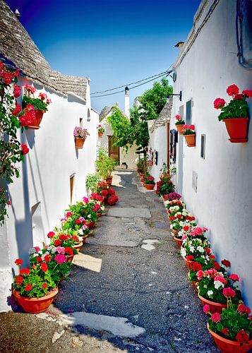 White houses and colourful flowers