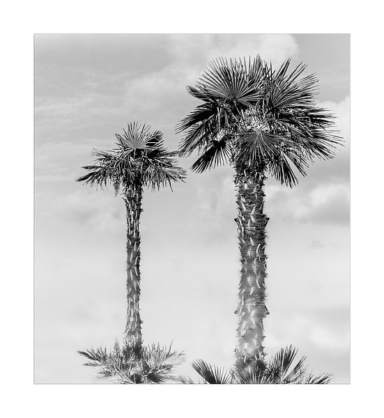 Reflet 2 noir et blanc par Philippe verspeek