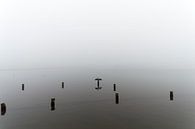 Een aalscholver op een paal in het meer op een mistige dag. van Robrecht Kruft thumbnail