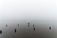 Een aalscholver op een paal in het meer op een mistige dag.