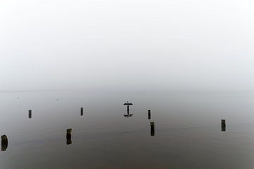 Een aalscholver op een paal in het meer op een mistige dag. van Robrecht Kruft