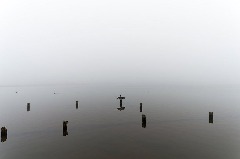 Een aalscholver op een paal in het meer op een mistige dag. van Robrecht Kruft