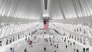 The Oculus