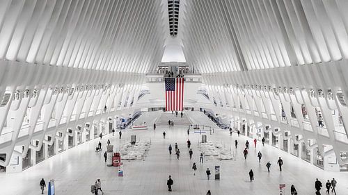 The Oculus