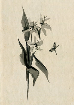 Bloemen met vlinder