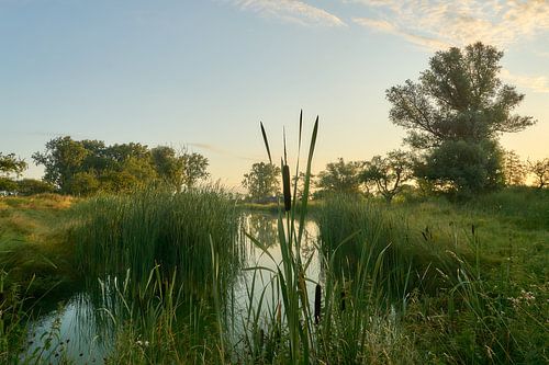 Zonsopkomst aan Werk aan de Groeneweg