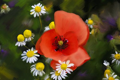 Bloemschilderen - Klaproos en Kamille