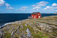 Blick auf die Insel Åstol in Schweden von Rico Ködder Miniaturansicht