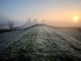 Traumbild von Angela Kraan