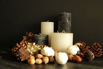 stilleven met dennenappels en o.a. kastanjes