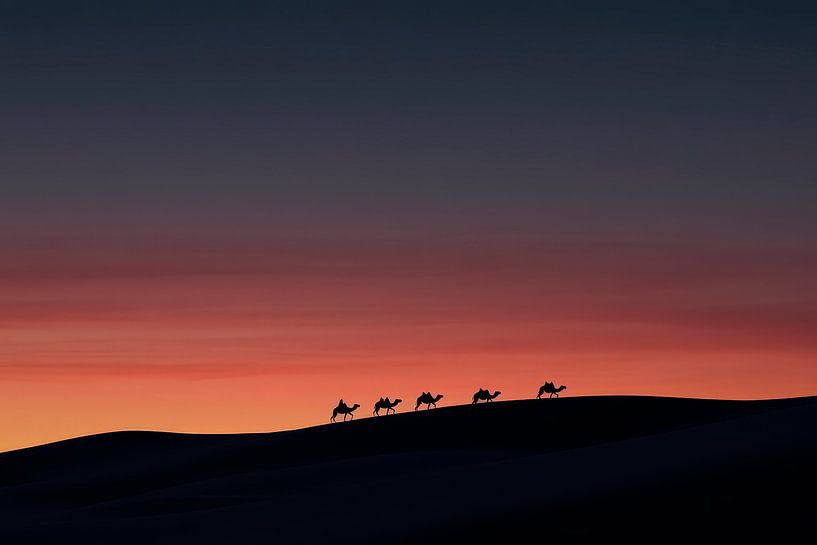 Desert caravan at sunset by Poster Art Shop