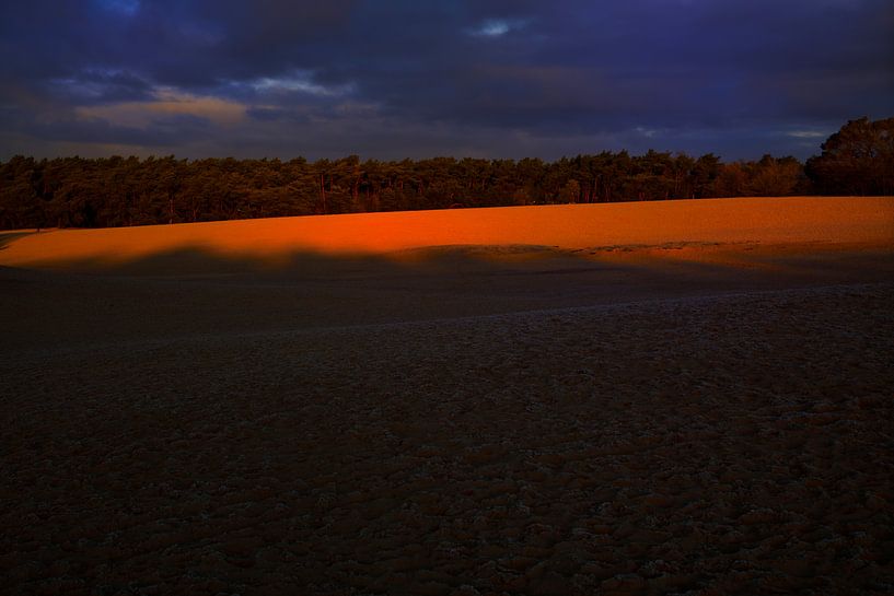 Soesterduinen von Sjoerd Montulet