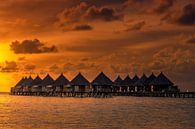 Bungalows in the Maldives by Markus Stauffer thumbnail