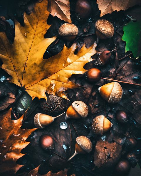 Herbststimmung von fernlichtsicht