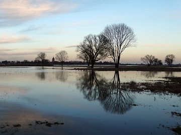 Weerspiegeling van Petra Kilwinger