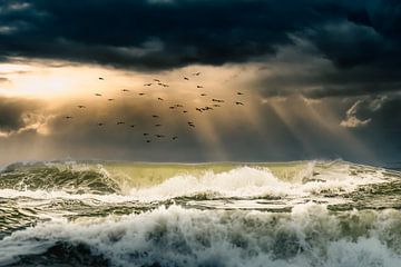Storm op zee van Gerard Wielenga