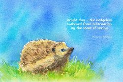 De geur van lente Egeltje Haiku Engels