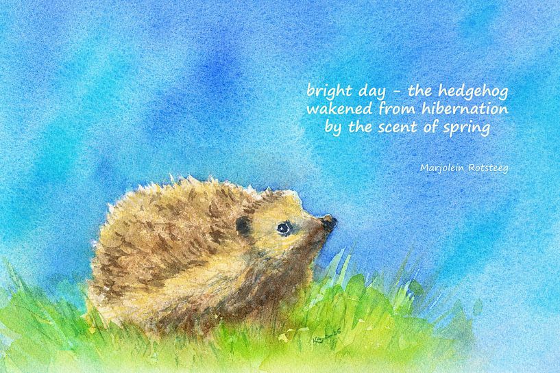 The scent of Spring Hedgehog Haiku English by Karen Kaspar