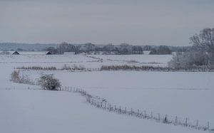 Winter uiterwaarden