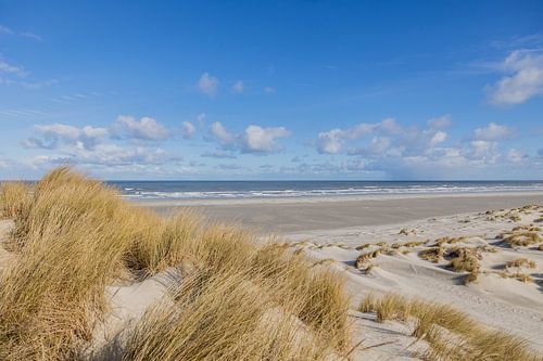 The always beautiful sea