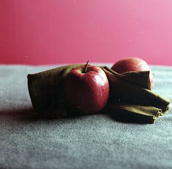 rotes Stilleben-Portrait