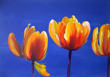 Feuertulpen sur Renate Dohr