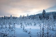 Besneeuwd landschap van Marco Lodder thumbnail