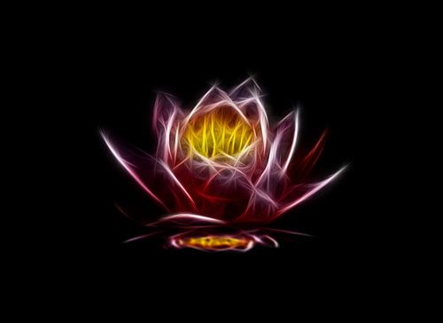 La fleur flamme