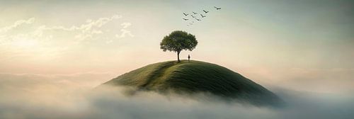 Un arbre dans le brouillard