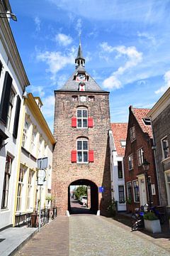 Vianen Utrecht Binnenstad van Hendrik-Jan Kornelis