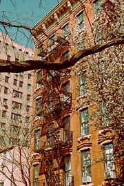 Chelsea by Pascal Deckarm