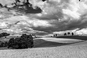 Hügellandschaft im Schwarzwald von Ilya Korzelius