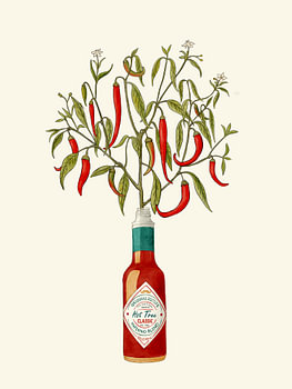 Jalapenos