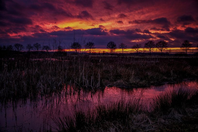 Woest en ledig van Andre Brasse Photography