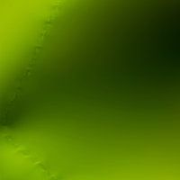 Lily of the Valley