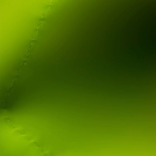 Lily of the Valley by Wim Lanphen