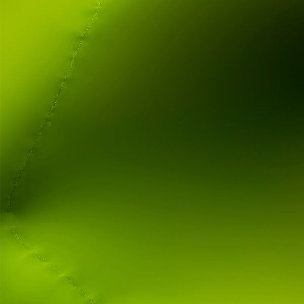 Lily of the Valley by Wim Lanphen