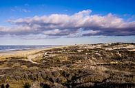 Duinen en Strand van Kijkduin als Panorama van Ricardo Bouman thumbnail