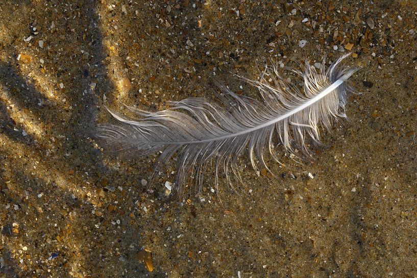 Fähre am Strand von Ronald Pol