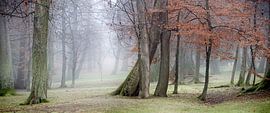 Nebel im Kurpark von Leopold Brix