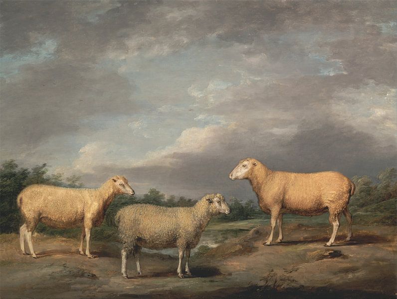 Ryelands Sheep, the King's Ram, the King's Ewe and Lord Somerville's Wether, James Ward by Masterful Masters